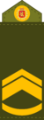 Royal Army, Staff Sergeant Second Class.png