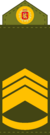 Royal Army, Master Staff Sergeant.png