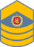 Royal Air Force, Master Sergant Patch.png