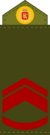 Royal Army, Staff Sergeant Third Class.png