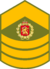 Royal Army, Master Sergeant Patch.png
