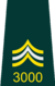 Sergeant Elde.png