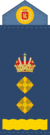 Royal Air Force, Lieutenant Colonel.png