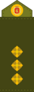 Royal Army, Lieutenant.png