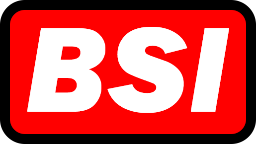 File:BSI modern logo.png