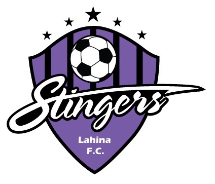 File:Stingers.logo.jpg