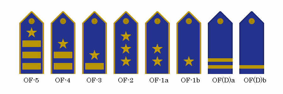 Commissioned ranks