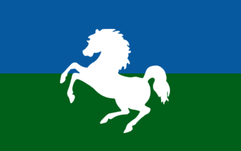 File:Flag of Göke.png