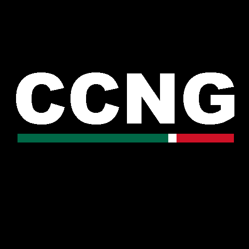File:Cártel Centenario Nueva Generación.png