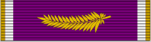 File:Conspicuous Combat Action Medal.png