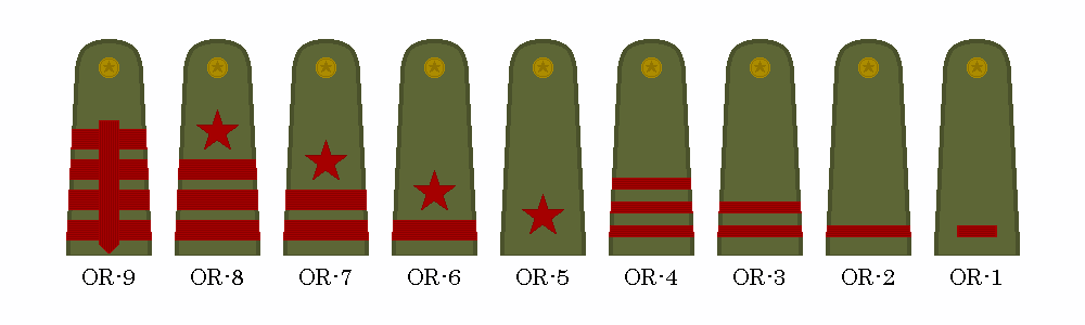 NCO and enlisted ranks