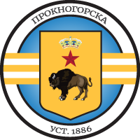 Prokhogorsk national football team logo.png