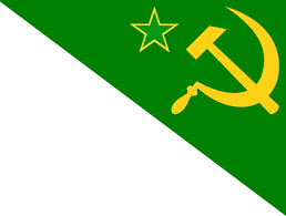 Dalnij flag.png