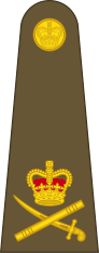 File:Lieutenant General, V-F Army.png