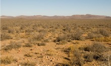 File:NSB desert2.jpg