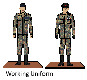 NRI Air Force Working uniforms.png