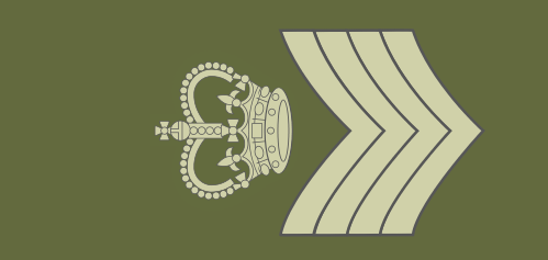 File:Aswick Army Colour Sergeant.png
