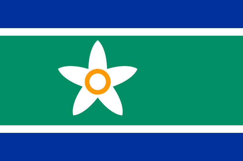File:Flag of Kajapas.png