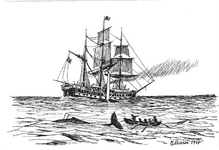 File:Maltropian whaler.png