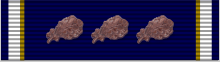 File:National Defense Service Medal aq.png