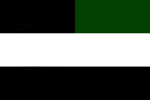 File:AleiaFlag.png