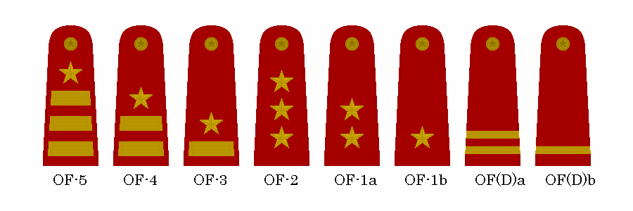 NCO and enlisted ranks