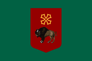 File:Flag of Darovskiya.png
