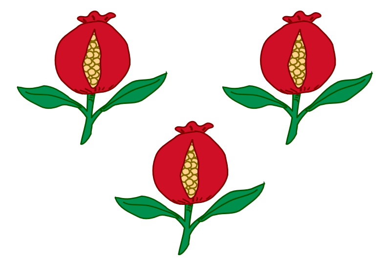 File:Flag of Thapse.png