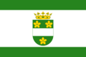Flag of Verde