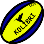 Shirt badge/Association crest