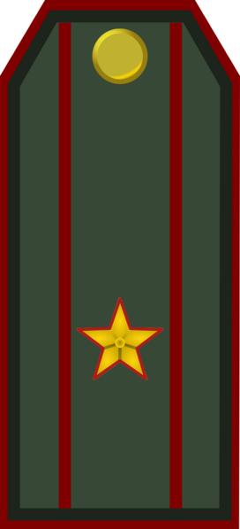 File:Service Holyn Ground Forces OF 3.png