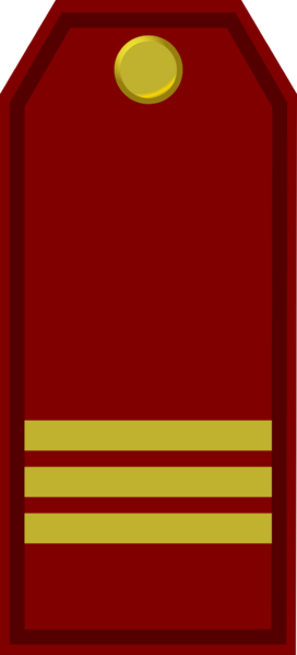 File:Parade Holyn Ground Force OR4.png