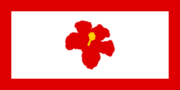 Flag of Ainapua (1952–present)