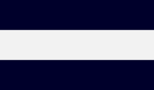 Lyngaard Republican Flag.png