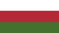 Flag of Baltija.jpeg