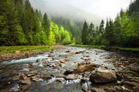 Illugi National Park .jpg