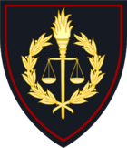 Romaia sleeve police judicial.png