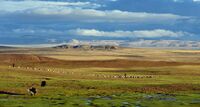 030719 CG tibetan-plateau Feat.jpg