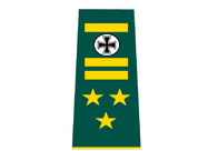 Brigadegeneral rank.png