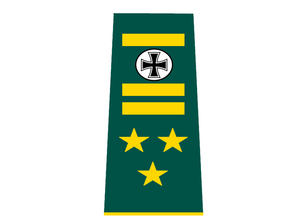 Brigadegeneral rank.png