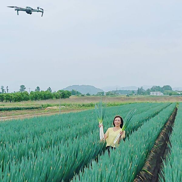 File:Negi farm drone.jpg
