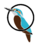 Auckandia Kingfishers logo.png