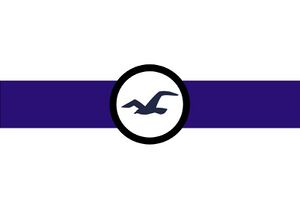 Aviatia Flag.jpg
