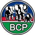 BCP logo.png