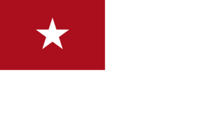 Flag of Nilasie.png