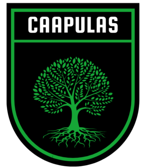 Caapulasfc.png