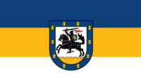 Baltican Flag with CoA.png