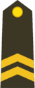 Gagian army Lance Corporal.png