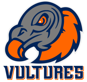 Landeda Vultures logo.png