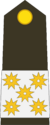 Gagian army General.png